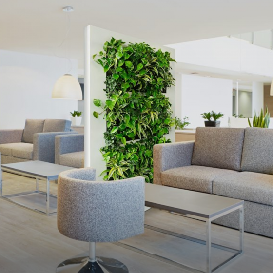 LiveDivider Pflanzenbild von Mobilane zur Raumteilung, Innenraumbegrünung, Platzeinsparung, Arbeitsklima, Dekoration und als Geschenkidee